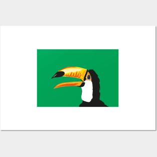 Talky Toucan Posters and Art